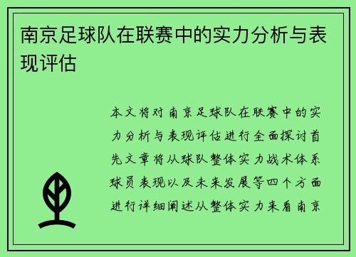 南京足球队在联赛中的实力分析与表现评估